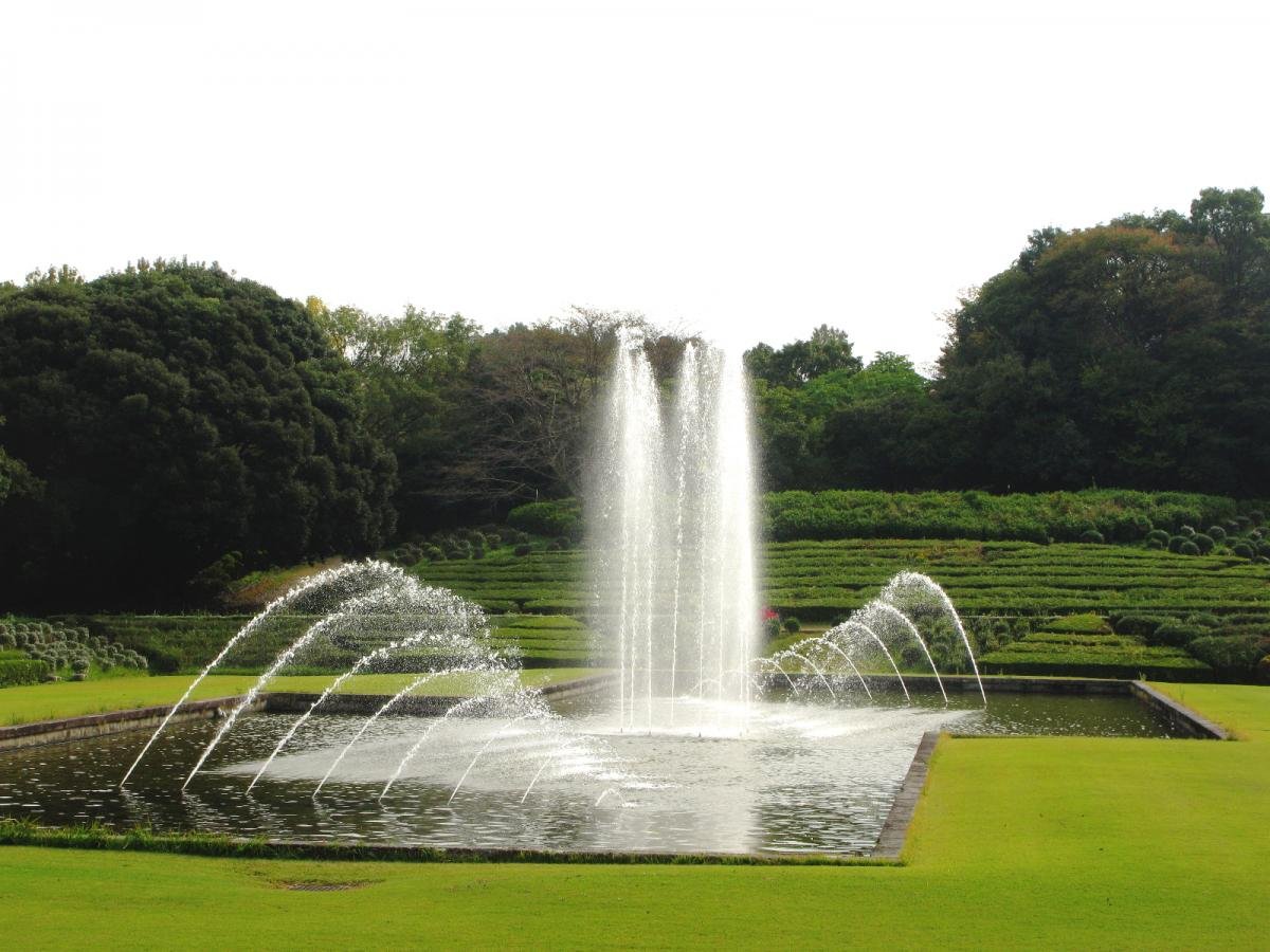 🌳 아이치현 삼림공원 (아이치켄 신린코엔) 이미지 8